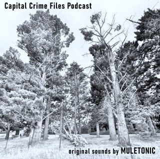 a black and white or greyscale scene of tall dying pines (actually around the back of my place) with the title Capital Crime Filew Podcast - Original Sounds by MULETONIC