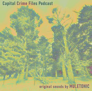 greenish coloured pine trees, an album cover for capital crime files